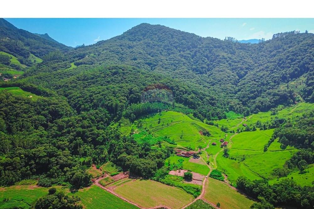 Terreno - Venda - Rio dos Cedros , Santa Catarina - DJI_0859-2.jpg - 590211035-40