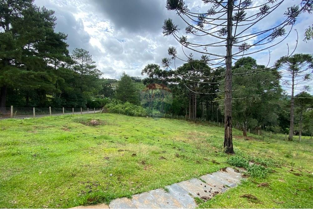 Terreno - Venda - Luzerna , Santa Catarina - WhatsApp Image 2025-02-27 at 14.43.34 (3).jpeg - 590271032-640