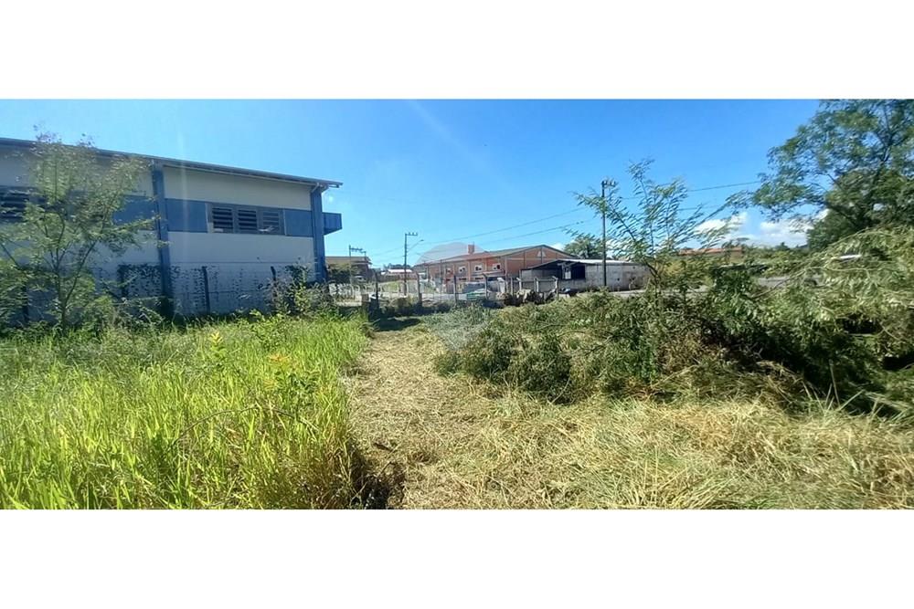 Terreno - Venda - Timbó , Santa Catarina - WhatsApp Image 2025-03-20 at 13.39.26 (1).jpeg - 590211033-46