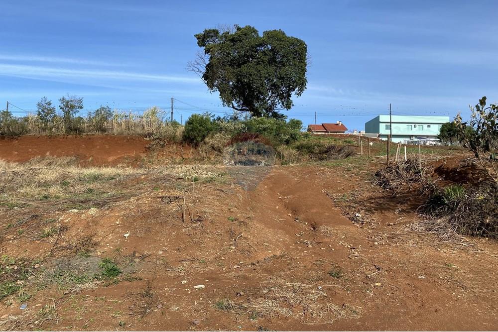 Terreno - Venda - Xaxim , Santa Catarina - IMG_0192.JPG - 590421001-233