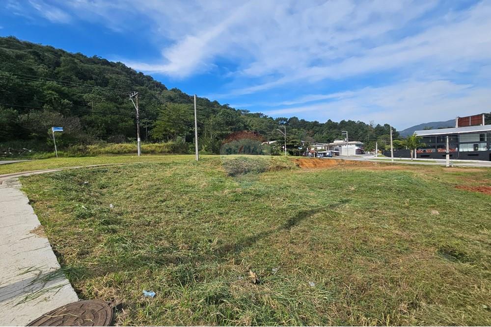 Terreno - Venda - Balneário Camboriú , Santa Catarina - 1000501814.jpg - 590231111-60