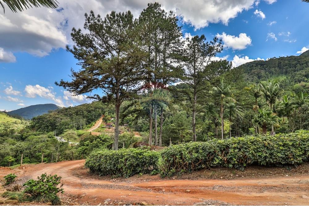 Chácara / Sítio / Fazenda - Venda - Rio dos Cedros , Santa Catarina - e191d3bd-0c79-4771-93a2-8141504dbace.jpeg - 590211035-78