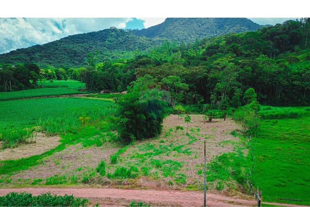 Terreno - Venda - Rio dos Cedros , Santa Catarina - DJI_0068 - Copia.jpg - 590211035-40