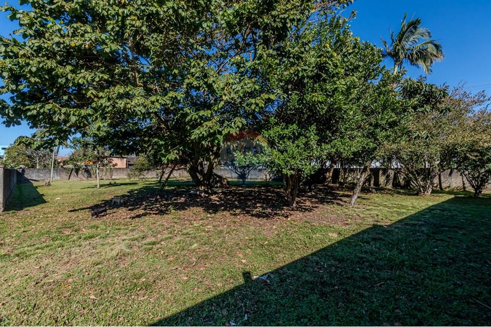 Terreno - Venda - Tijucas , Santa Catarina - IMG_9889.jpg - 590531034-1