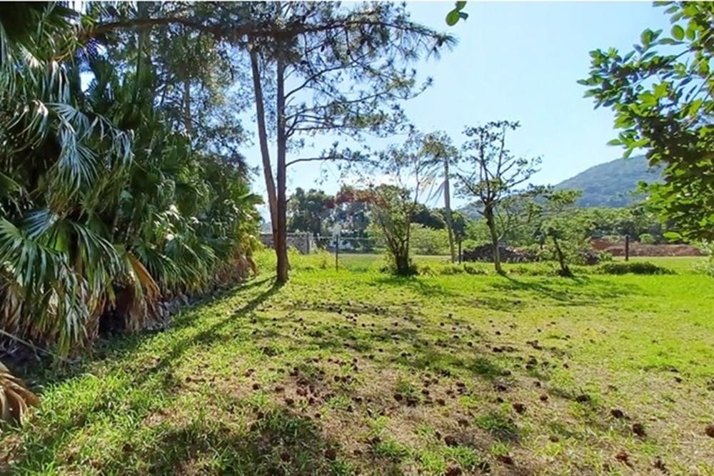 Terreno - Venda - Florianópolis , Santa Catarina - PHOTO-2025-05-15-17-03-19 (2).jpg - 590101001-59