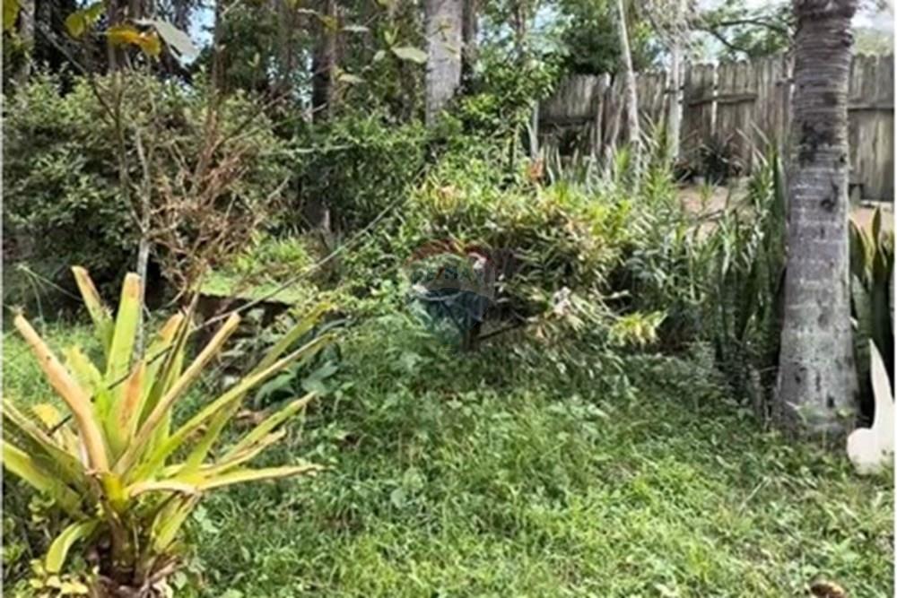 Terreno - Venda - Gravatal , Santa Catarina - WhatsApp Image 2025-10-20 at 17.32.58.jpeg - 590461027-11