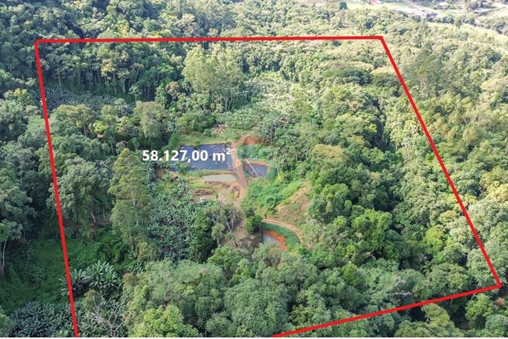 Terreno - Venda - Timbó , Santa Catarina - FOTO PRO 02 - .JPG - 590211051-24