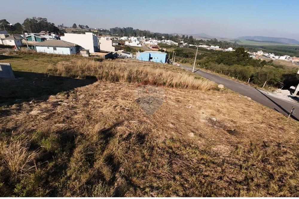 Terreno - Venda - Lages , Santa Catarina - WhatsApp Image 2025-06-24 at 13.17.04 (1).jpeg - 590071043-5
