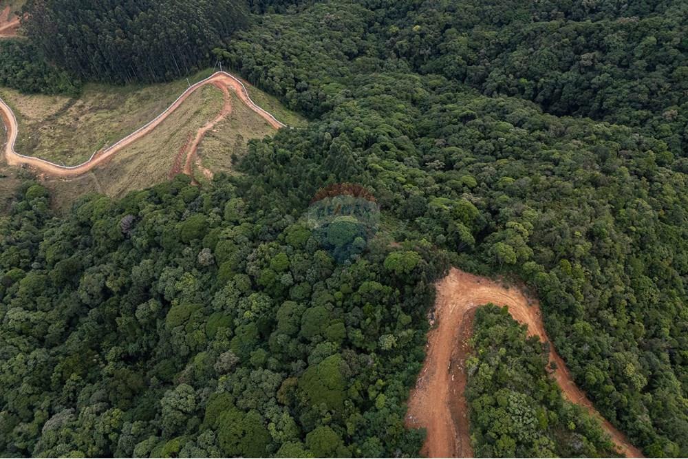 Chácara / Sítio / Fazenda - Venda - São Martinho , Santa Catarina - DJI_20250711082635_0727_D_DJI4.jpg - 590461004-17