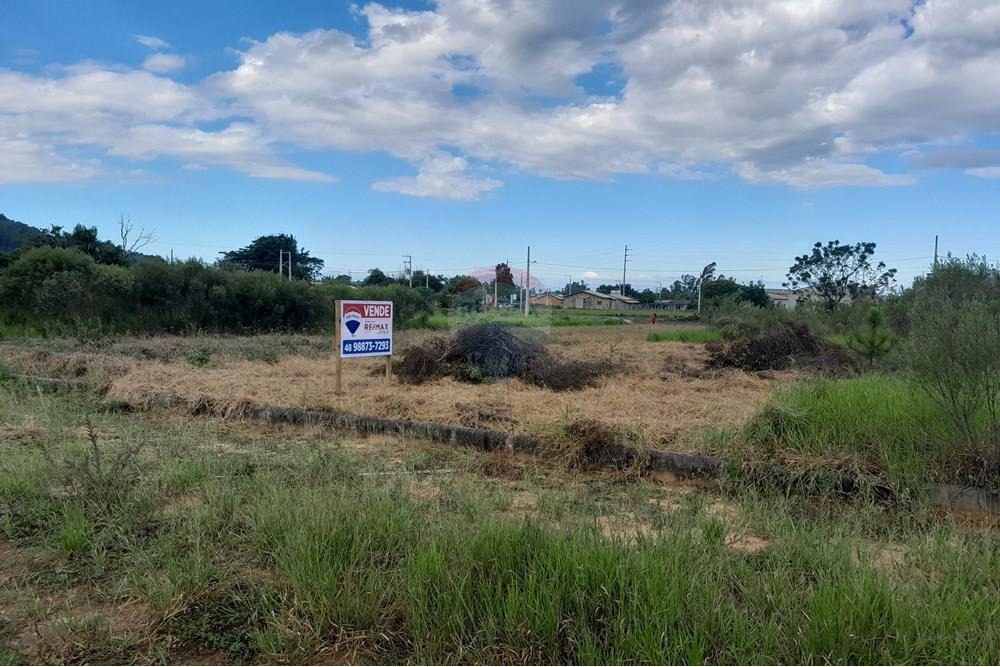 Terreno - Venda - Santa Rosa do Sul , Santa Catarina - 20250409_152109.jpg - 590491005-4