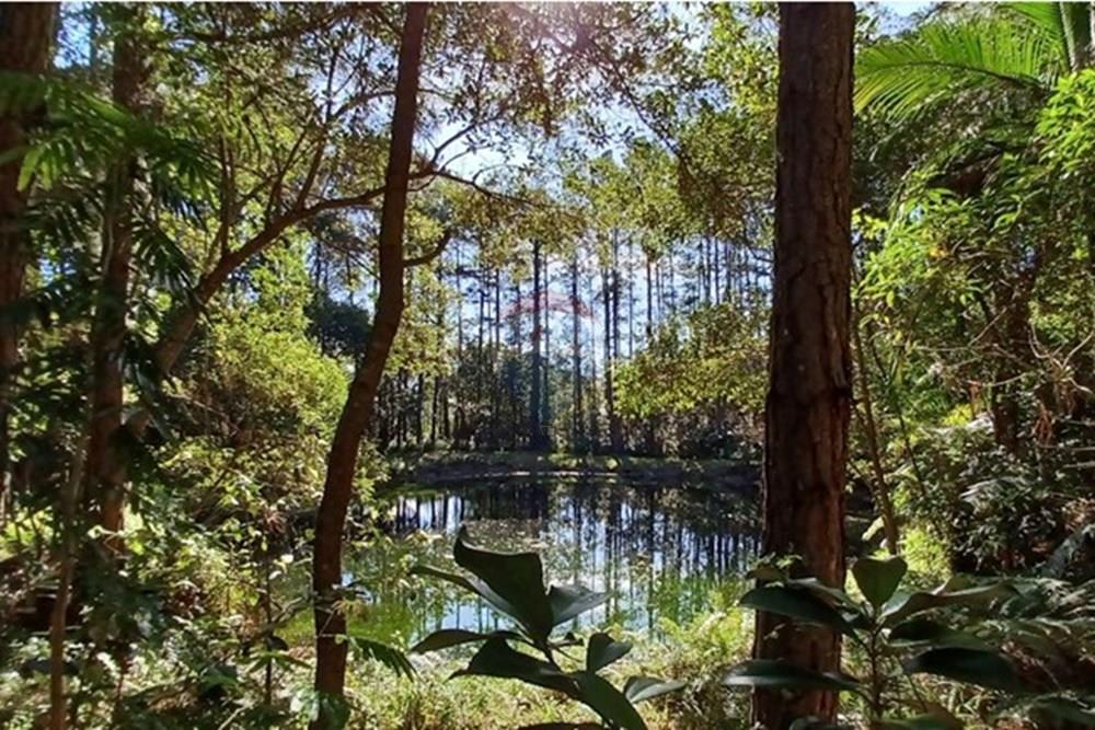 Terreno - Venda - Florianópolis , Santa Catarina - PHOTO-2025-05-15-17-03-23 (1).jpg - 590101001-59