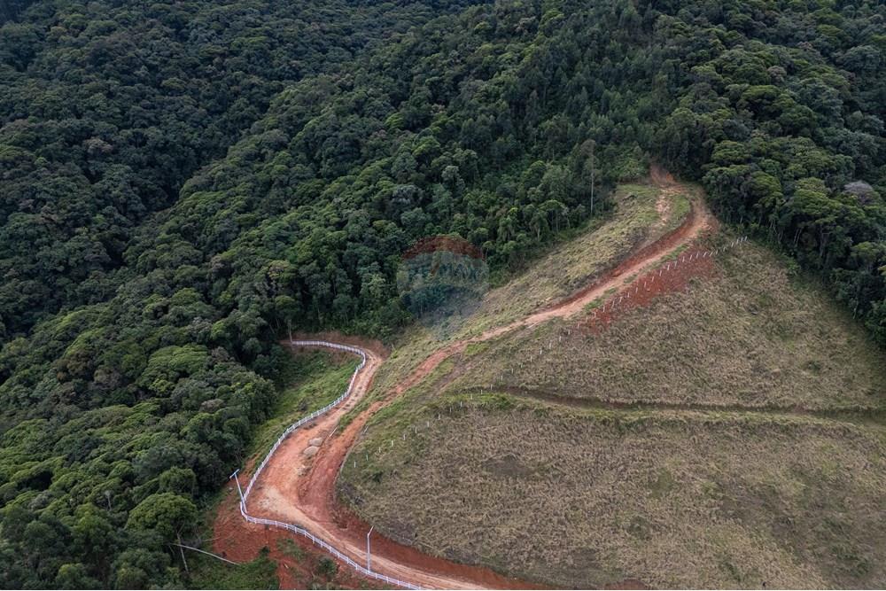 Chácara / Sítio / Fazenda - Venda - São Martinho , Santa Catarina - DJI_20250711082435_0723_D_DJI4.jpg - 590461004-17
