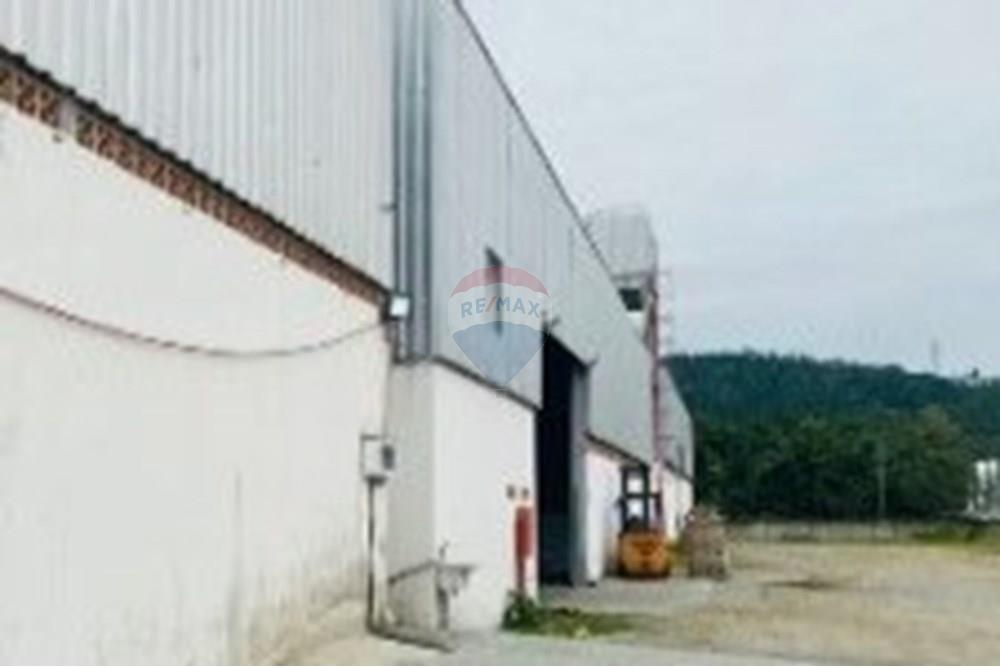 Galpão - Alugar - Camboriú , Santa Catarina - g 1 (1).jpg - 590231138-76