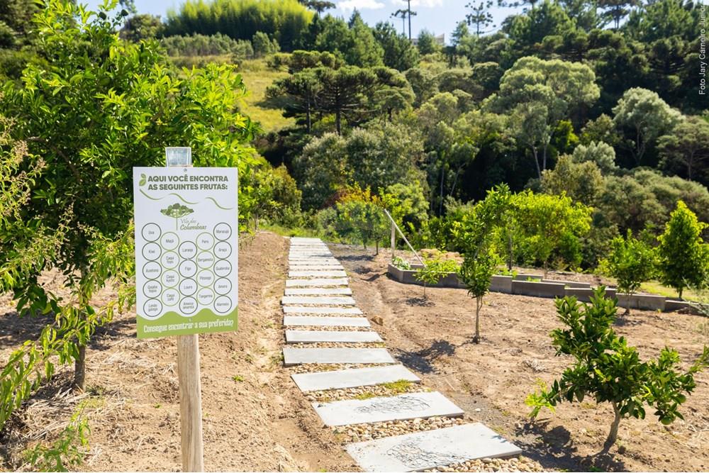 Casa - Venda - Lages , Santa Catarina - 0023 25-03-21 Casa Vila das Comunmbeas.JPG - 590071009-99