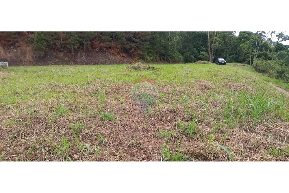 Terreno - Venda - Ascurra , Santa Catarina - WhatsApp Image 2024-12-03 at 09.34.19 (1).jpeg - 590211033-25