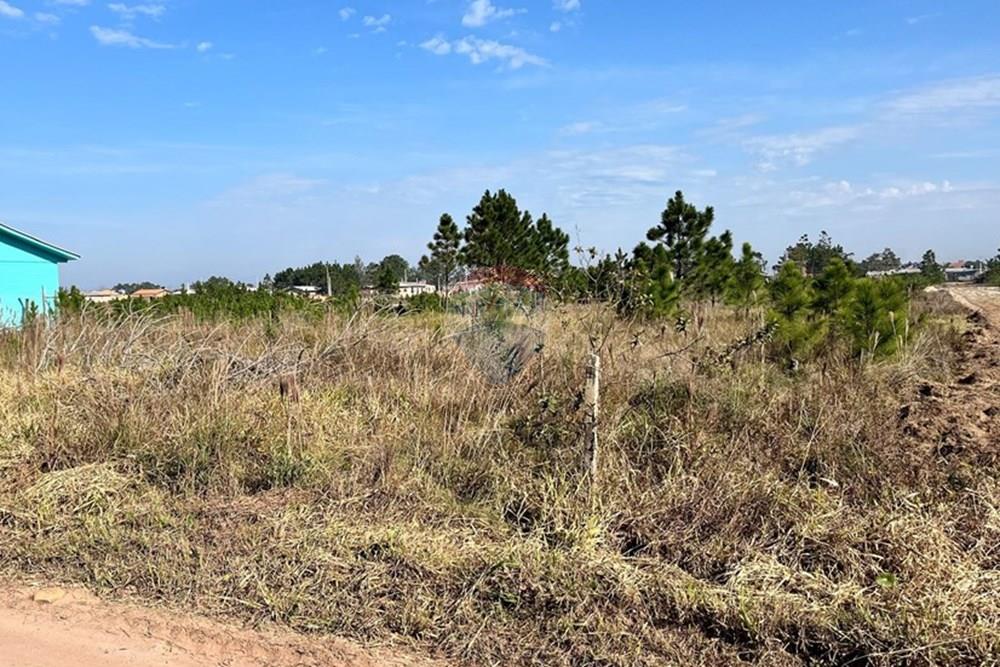 Terreno - Venda - Balneário Gaivota , Santa Catarina - IMG_3305.jpg - 590491009-6