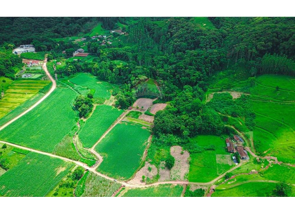 Terreno - Venda - Rio dos Cedros , Santa Catarina - DJI_0059 - Copia.jpg - 590211035-40