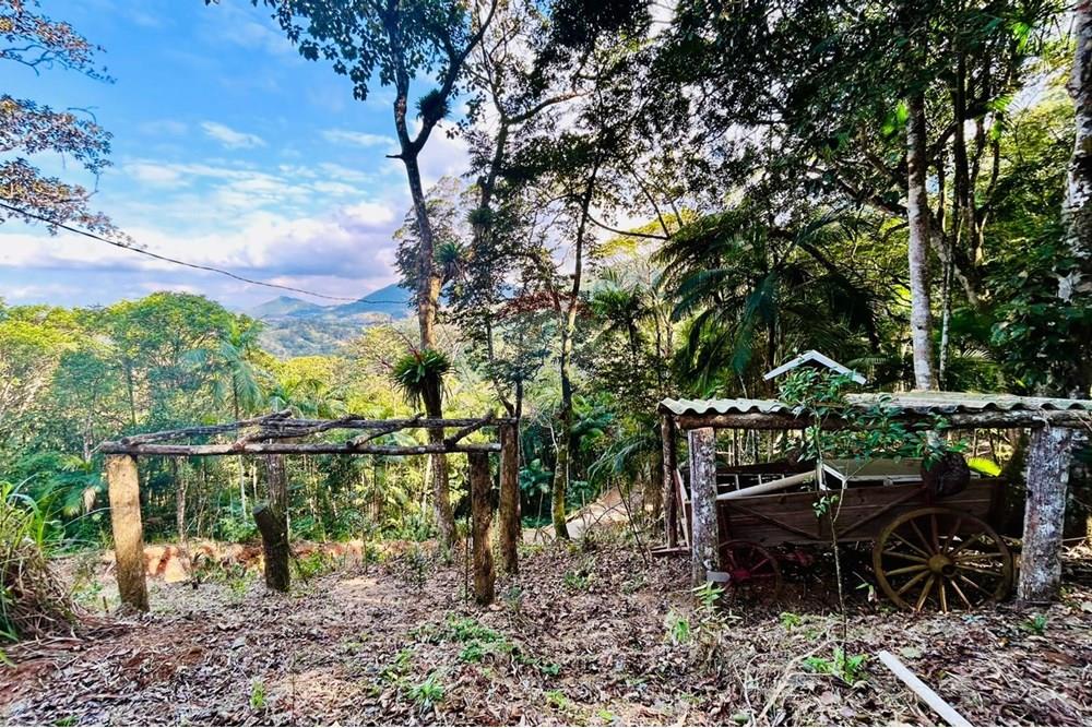 Chácara / Sítio / Fazenda - Venda - Itapema , Santa Catarina - WhatsApp Image 2025-07-14 at 16.25.28 (3).jpeg - 590401053-3