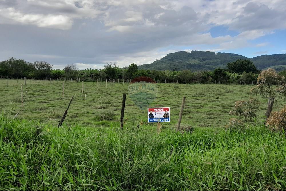 Terreno - Venda - Santa Rosa do Sul , Santa Catarina - 20250409_154955.jpg - 590491005-6