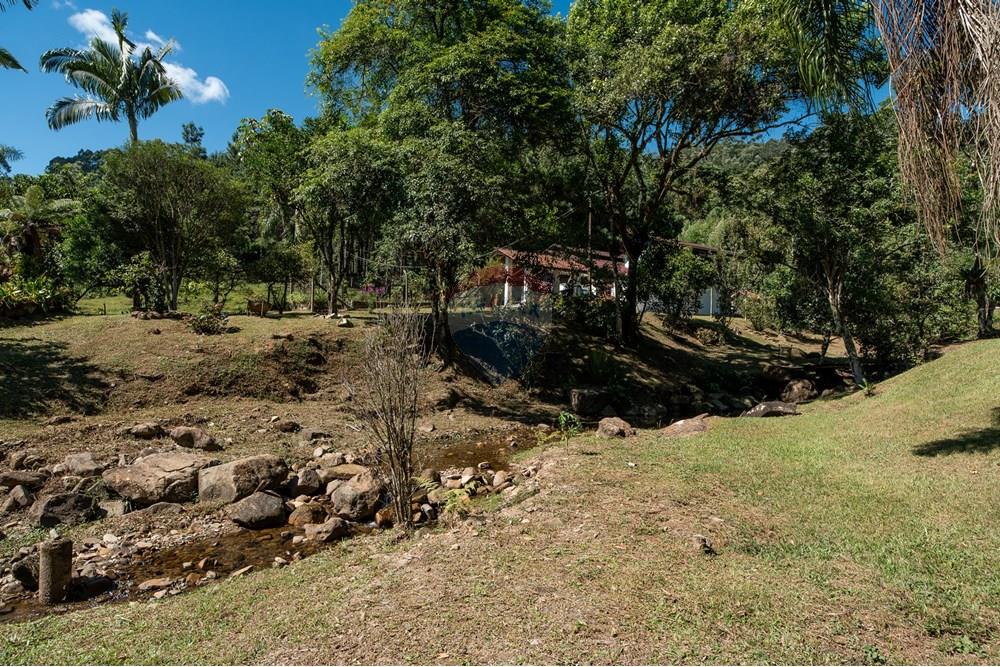 Chácara / Sítio / Fazenda - Venda - Benedito Novo , Santa Catarina - _DSC4045.jpg - 590301034-14