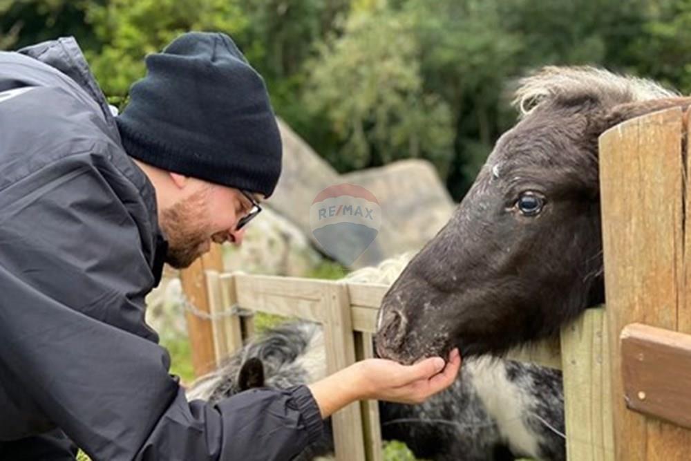 Chalé - Venda - Alfredo Wagner , Santa Catarina - cabana-horizonte (8).jpg - 590071002-445