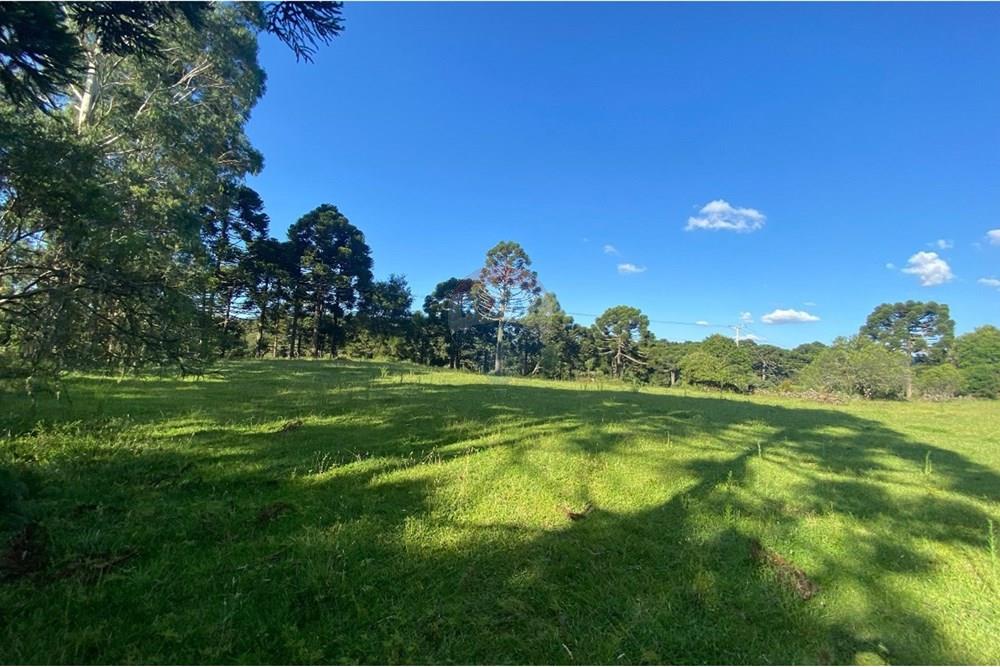 Chácara / Sítio / Fazenda - Venda - Painel , Santa Catarina - WhatsApp Image 2025-05-09 at 11.33.20.jpeg - 590071044-16