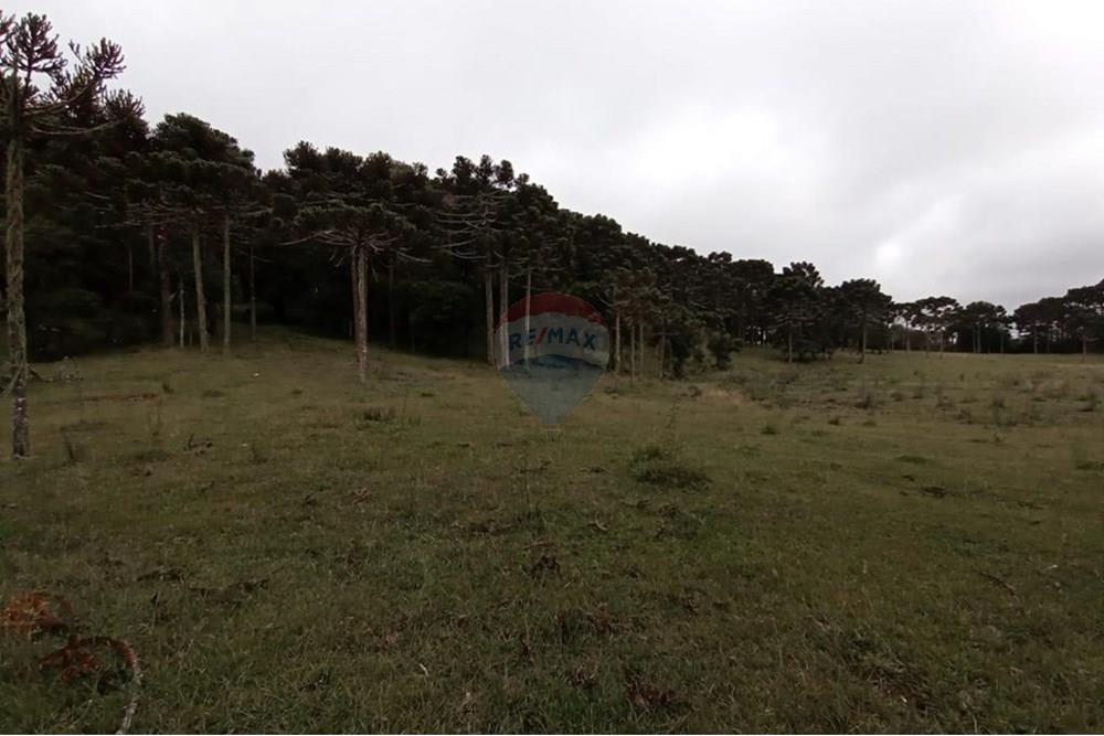 Chácara / Sítio / Fazenda - Venda - Painel , Santa Catarina - IMG-20250512-WA0064.jpg - 590071044-16