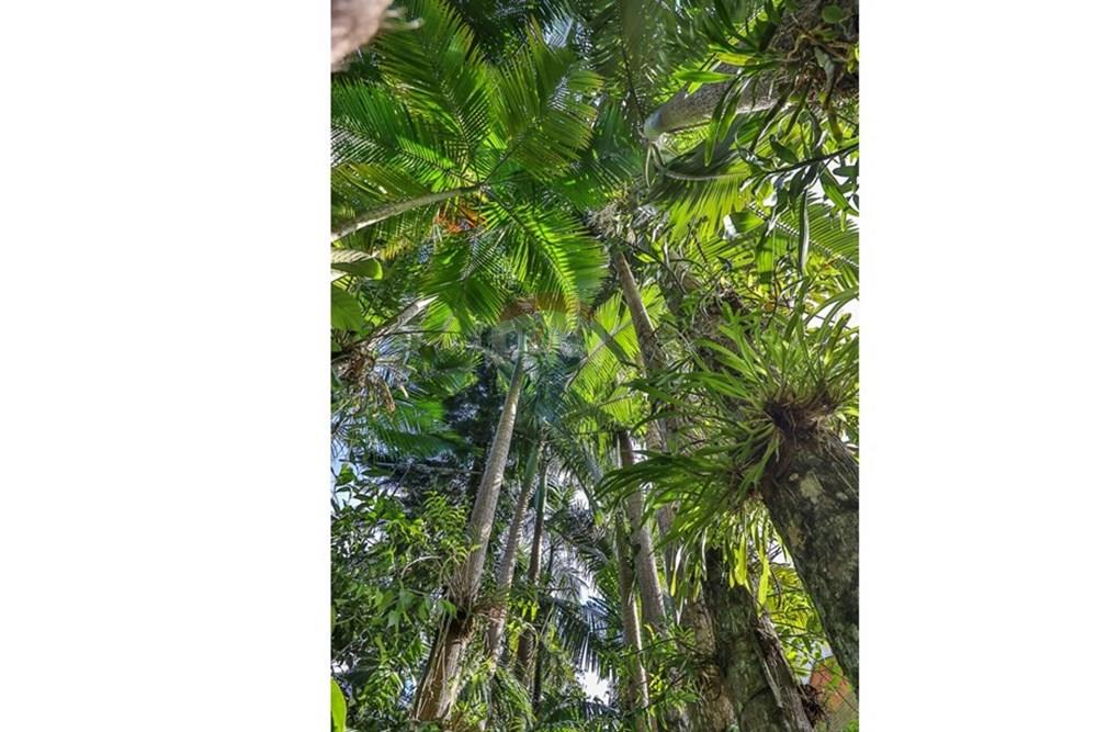 Casa - Venda - Indaial , Santa Catarina - WhatsApp Image 2025-07-22 at 20.14.10 (2).jpeg - 590211048-27