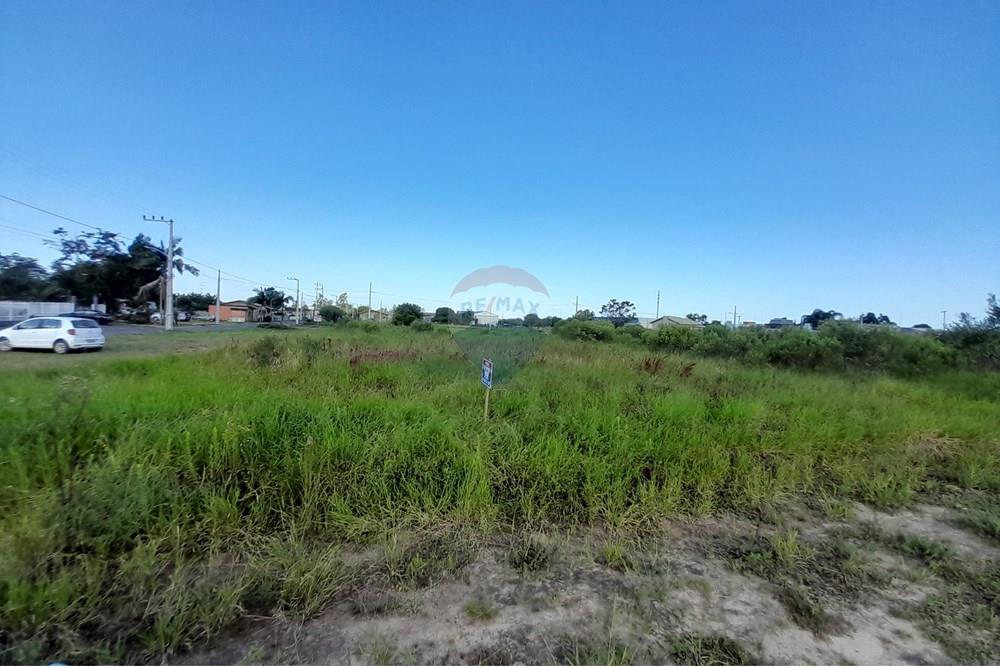 Terreno - Venda - Santa Rosa do Sul , Santa Catarina - 20250425_142221.jpg - 590491005-9