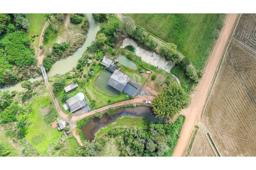 Chácara / Sítio / Fazenda - Venda - Doutor Pedrinho , Santa Catarina - WhatsApp Image 2025-09-16 at 16.40.53.jpeg - 590211064-3