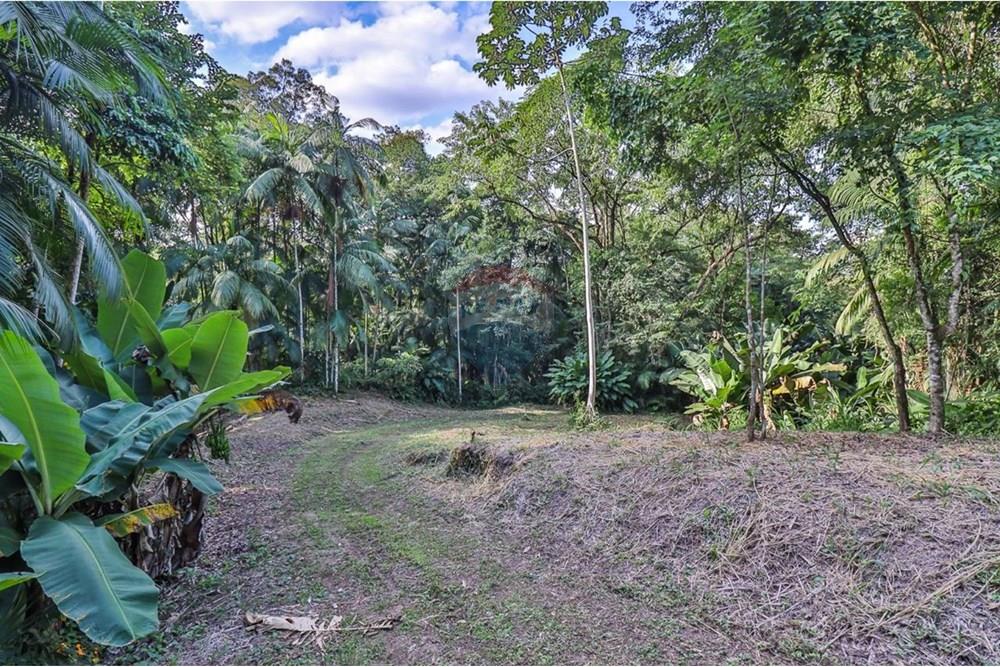 Terreno - Venda - Timbó , Santa Catarina - WhatsApp Image 2025-07-22 at 11.31.01 (2).jpeg - 590211046-8