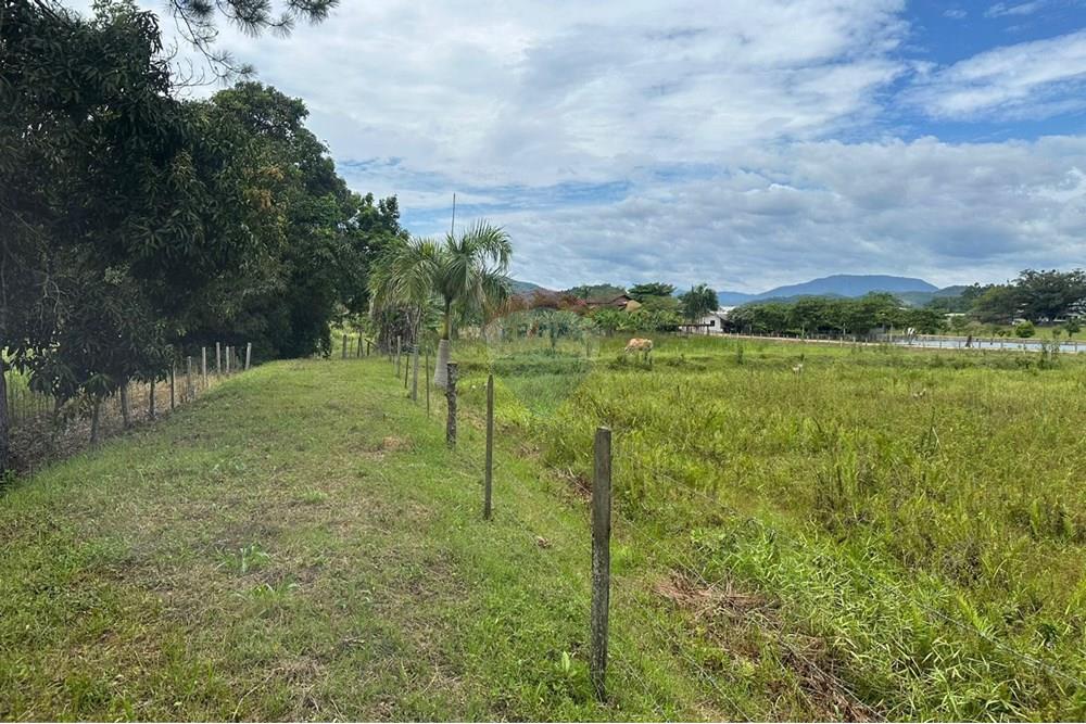 Terreno - Venda - Indaial , Santa Catarina - 6f7bc4ee-bfc6-45b9-ae94-a1972328e4e2.jpeg - 590301007-66