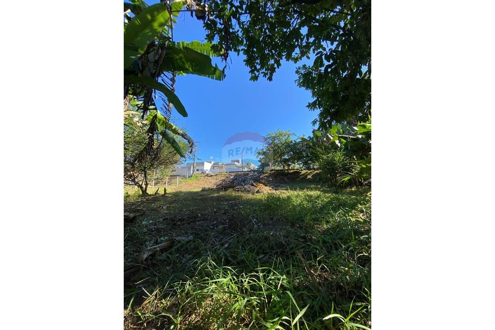 Terreno - Venda - Jaraguá do Sul , Santa Catarina - WhatsApp Image 2025-04-29 at 14.57.20.jpeg - 590451031-12