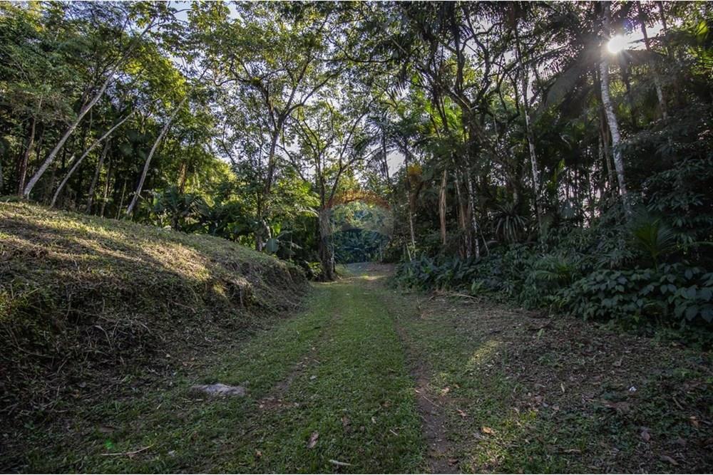 Terreno - Venda - Timbó , Santa Catarina - WhatsApp Image 2025-07-22 at 11.31.01.jpeg - 590211046-8