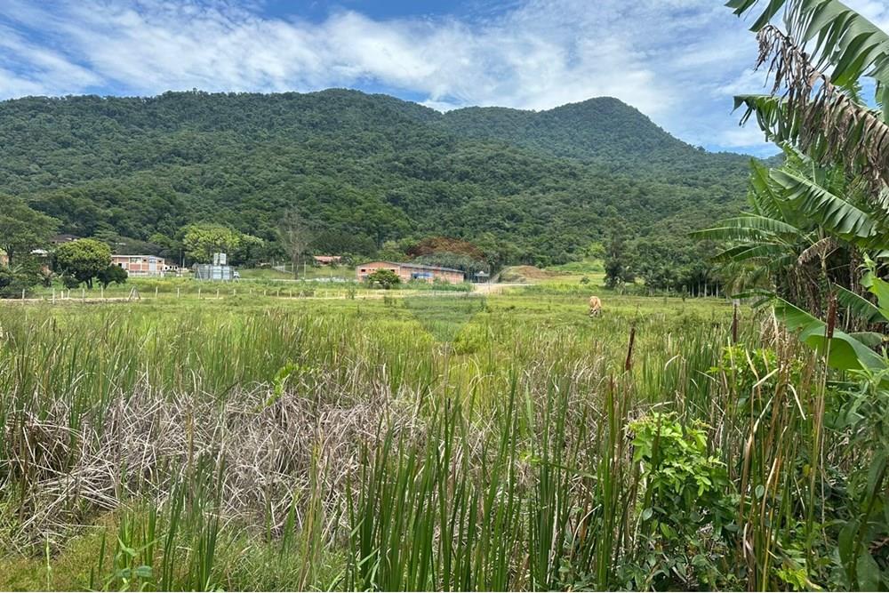 Terreno - Venda - Indaial , Santa Catarina - 0b7c2f0d-1e9f-404a-aa74-a15e585eef7d.jpeg - 590301007-66