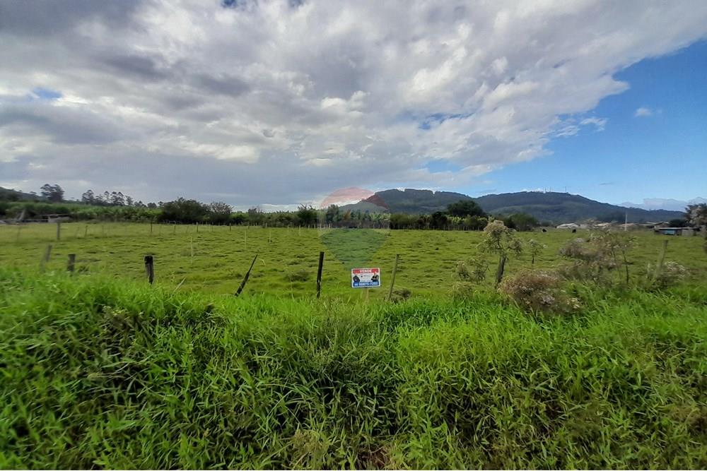 Terreno - Venda - Santa Rosa do Sul , Santa Catarina - 20250409_155003.jpg - 590491005-6