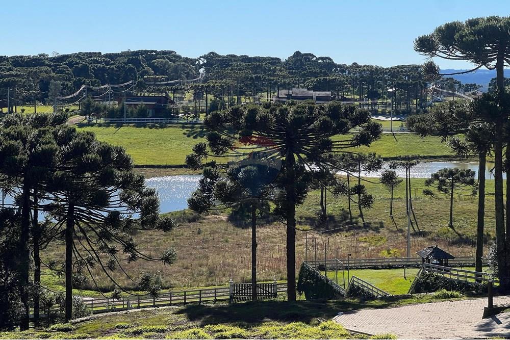 Terreno - Venda - Painel , Santa Catarina - WhatsApp Image 2025-06-11 at 15.16.35.jpeg - 590071003-194