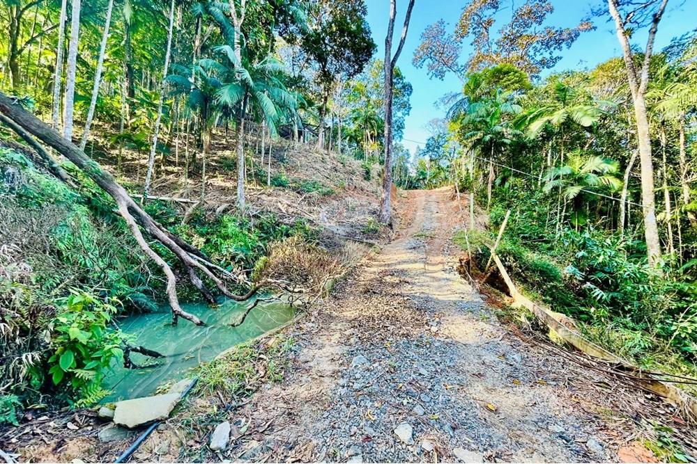 Chácara / Sítio / Fazenda - Venda - Itapema , Santa Catarina - WhatsApp Image 2025-07-14 at 16.25.34 (1).jpeg - 590401053-3