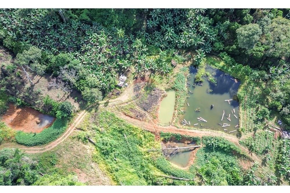 Terreno - Venda - Timbó , Santa Catarina - FOTO PRO 06 - .JPG - 590211051-24