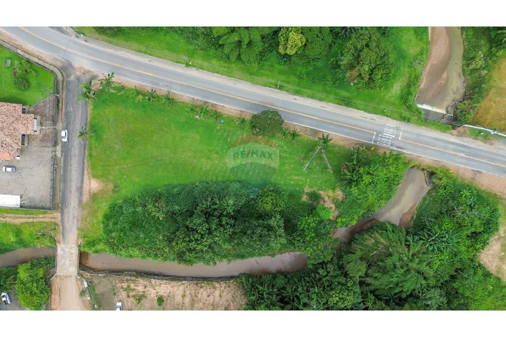 Terreno - Venda - Benedito Novo , Santa Catarina - Imagem do WhatsApp de 2025-02-14 à(s) 13.13.48_803a3b60.jpg - 590211007-95