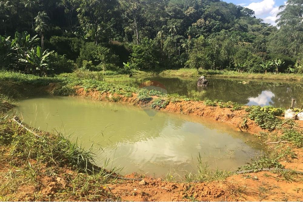 Terreno - Venda - Timbó , Santa Catarina - FOTO 06 - .JPG - 590211051-24