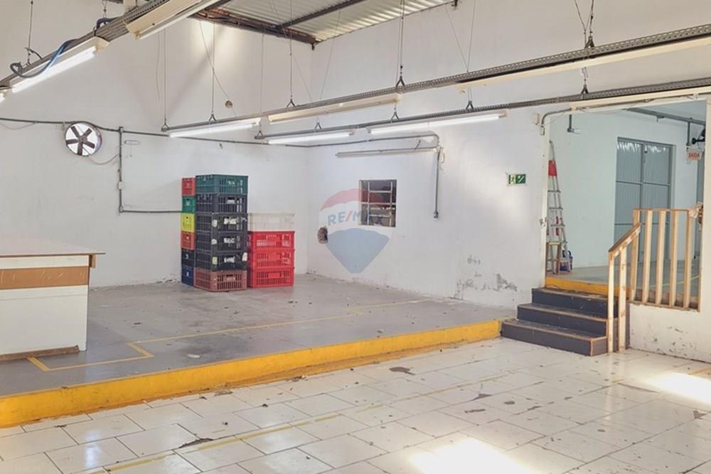 Galpão - Alugar - Sombrio , Santa Catarina - 20250423_091441.jpg - 590491002-31