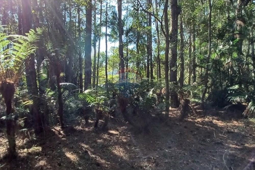 Terreno - Venda - Florianópolis , Santa Catarina - PHOTO-2025-05-15-17-03-18 (4).jpg - 590101001-59