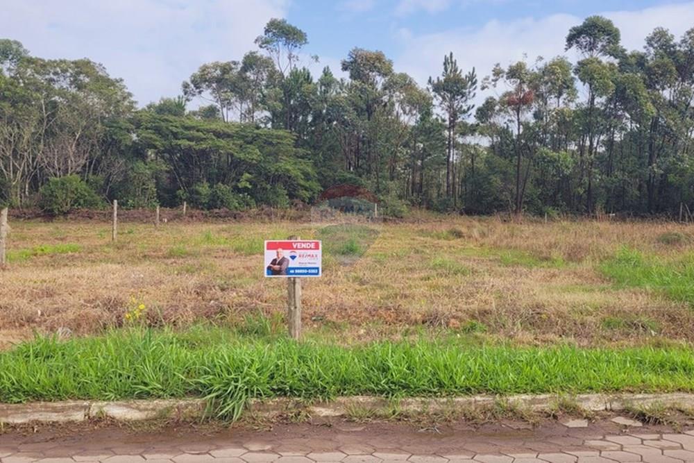 Terreno - Venda - Balneário Gaivota , Santa Catarina - 20250411_085144.jpg - 590491002-30