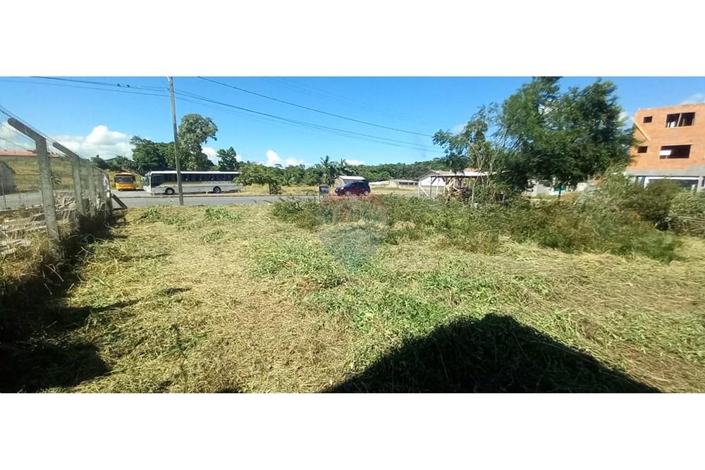 Terreno - Venda - Timbó , Santa Catarina - WhatsApp Image 2025-03-20 at 13.39.24 (1).jpeg - 590211033-46