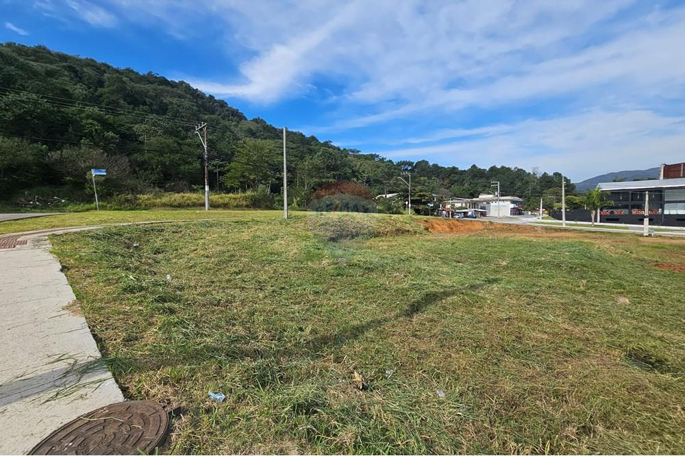 Terreno - Venda - Balneário Camboriú , Santa Catarina - 20250617_113753.jpg - 590231111-60