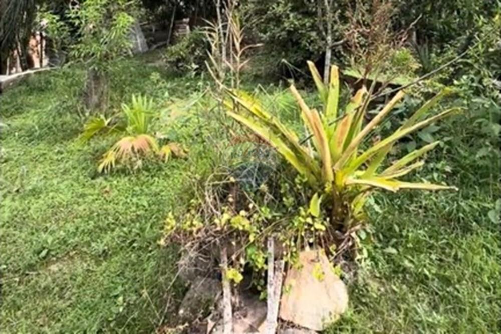 Terreno - Venda - Gravatal , Santa Catarina - WhatsApp Image 2025-10-20 at 17.32.58 (1).jpeg - 590461027-11