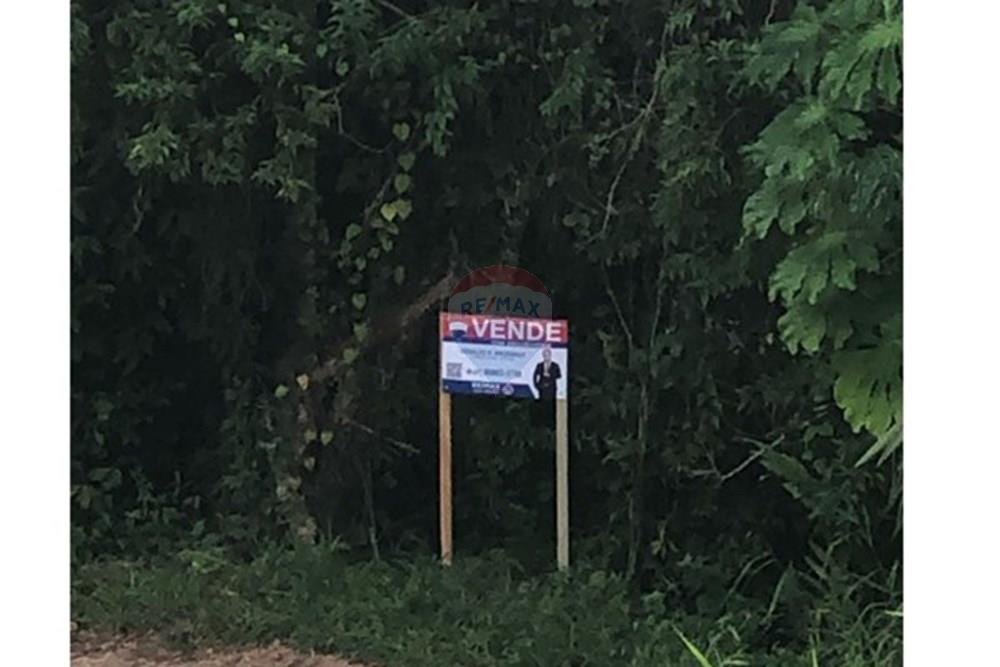 Terreno - Venda - Timbó , Santa Catarina - FOTO 07 PLACA -.JPG - 590211051-22