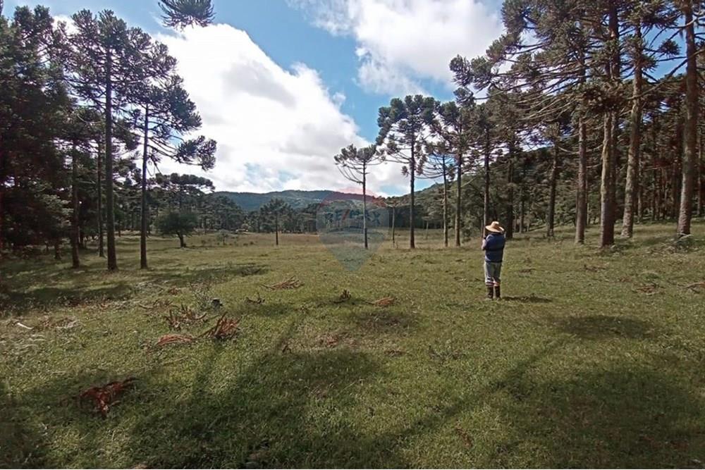 Chácara / Sítio / Fazenda - Venda - Painel , Santa Catarina - IMG-20250512-WA0075.jpg - 590071044-16