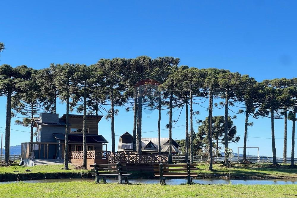 Terreno - Venda - Painel , Santa Catarina - WhatsApp Image 2025-06-11 at 15.16.05.jpeg - 590071003-195